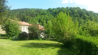 Przyroda w pobliżu tego hostelu