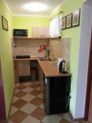 Kuchnia lub aneks kuchenny w obiekcie Pod Klonem