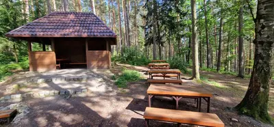 Przyroda w pobliżu tego apartamentu
