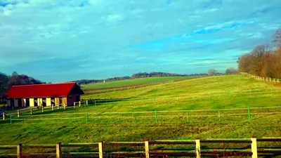 Przyroda w pobliżu tego gospodarstwa agroturystycznego