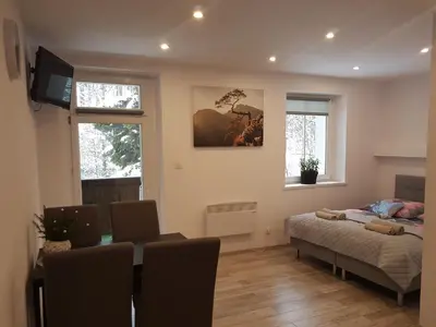Telewizja i/lub zestaw kina domowego w obiekcie Apartamenty u Sikory