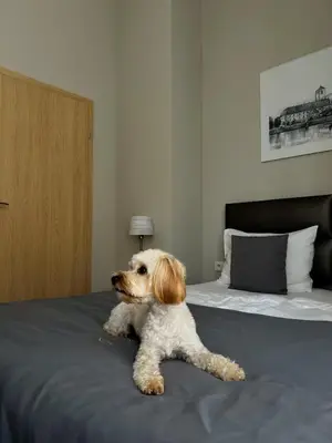 Łóżko lub łóżka w pokoju w obiekcie Joyinn Aparthotel