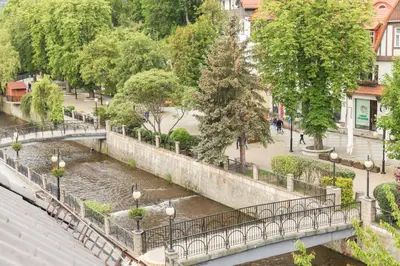 Przyroda w pobliżu tego apartamentu