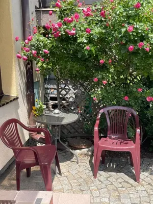 Ogród w obiekcie Apartamenty Pod Lwami