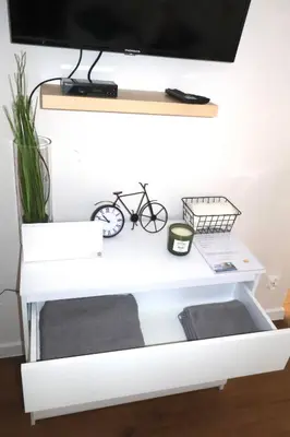 Telewizja i/lub zestaw kina domowego w obiekcie Apartamenty Pod Lwami