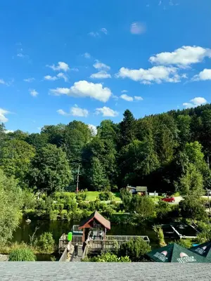 Przyroda w pobliżu tego pensjonatu