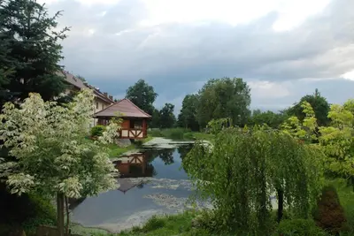 Przyroda w pobliżu tego hotelu