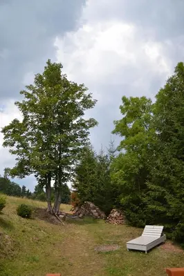 Przyroda w pobliżu tego domu w stylu alpejskim