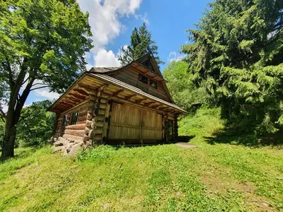 Ogród w obiekcie Domek Górski przy Bukowej Chacie