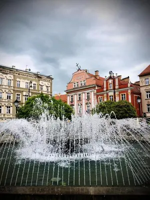 Lokalna atrakcja w pobliżu tego apartamentu