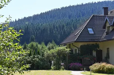 Przyroda w pobliżu tego gospodarstwa agroturystycznego