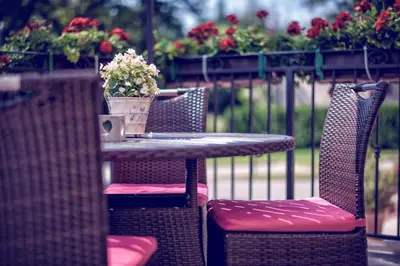 Ogród w obiekcie Hotel Niemcza Wino & Spa