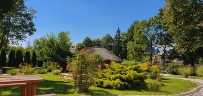 Ogród w obiekcie Villa Carmen