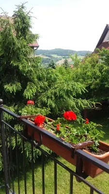 Przyroda w pobliżu tej kwatery prywatnej