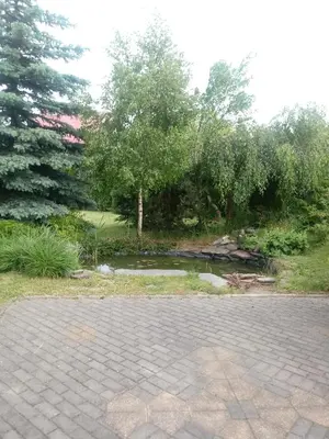 Ogród w obiekcie villa