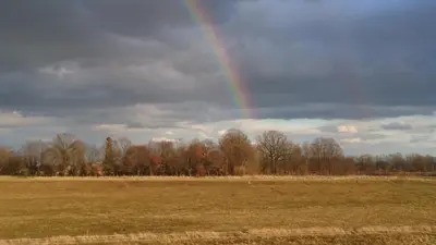 Przyroda w pobliżu tego apartamentu