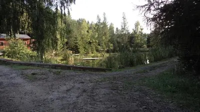 Przyroda w pobliżu tej kwatery prywatnej