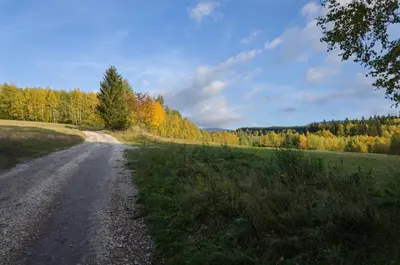 Przyroda w pobliżu tego obiektu B&B