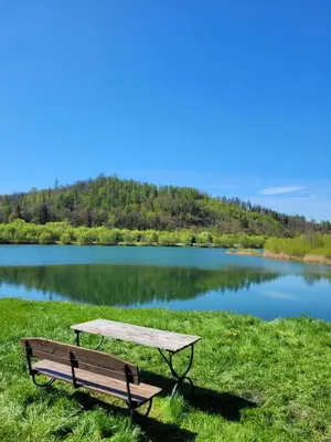 Przyroda w pobliżu tego kempingu