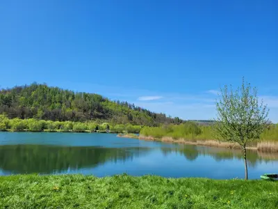 Przyroda w pobliżu tego kempingu
