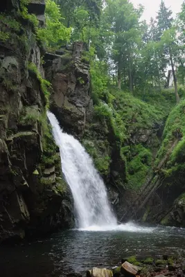 Przyroda w pobliżu tego obiektu B&B