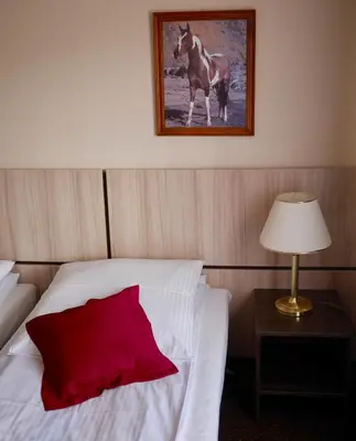 Łóżko lub łóżka w pokoju w obiekcie Hotel Stajnia Wolica