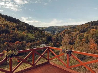 Przyroda w pobliżu tego obiektu B&B