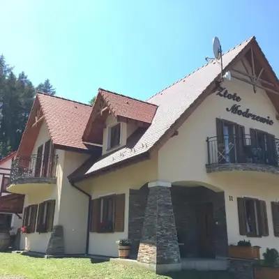 Zlote Modrzewie