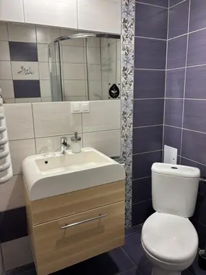 Łazienka w obiekcie Doboszowka