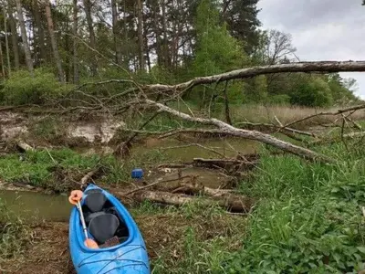 Przyroda w pobliżu tego gospodarstwa agroturystycznego