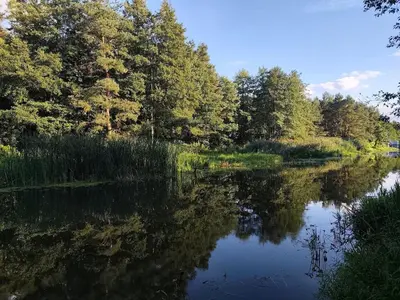 Przyroda w pobliżu tego gospodarstwa agroturystycznego