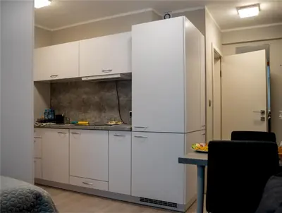 Kuchnia lub aneks kuchenny w obiekcie Apartamenty Pyskowice