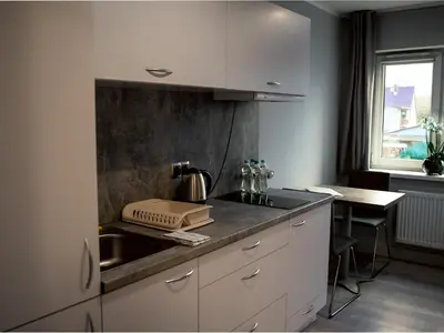 Kuchnia lub aneks kuchenny w obiekcie Apartamenty Pyskowice