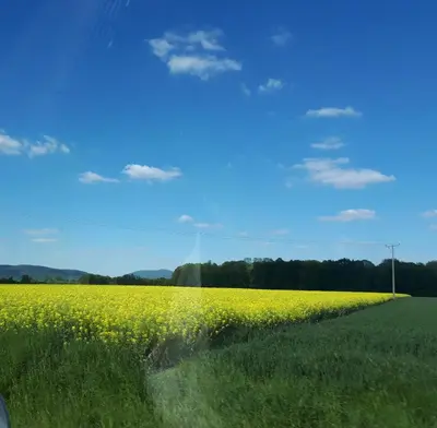 Przyroda w pobliżu tego gospodarstwa agroturystycznego