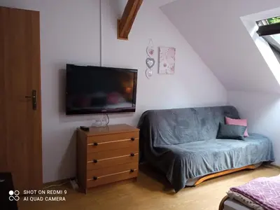 Telewizja i/lub zestaw kina domowego w obiekcie Pokoje Gościnne Nad Złotym Potokiem