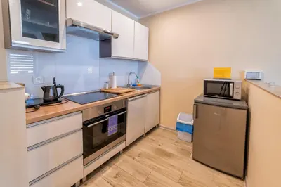 Kuchnia lub aneks kuchenny w obiekcie Apartamenty ALICJA