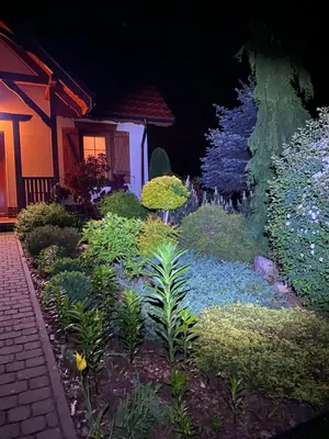 Ogród w obiekcie Ignacówka