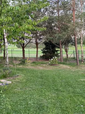 Ogród w obiekcie Ignacówka