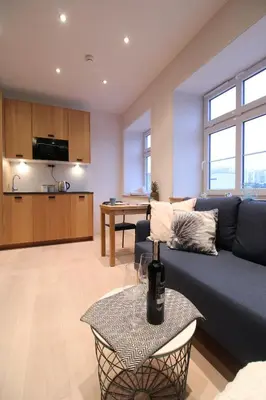Kuchnia lub aneks kuchenny w obiekcie Aparthotel Tectum TectumApartments