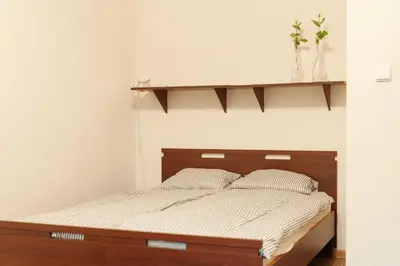 Łóżko lub łóżka w pokoju w obiekcie Apartament TSO Parkowa Polana