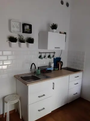 Kuchnia lub aneks kuchenny w obiekcie Apartament Nad Starą Odrą