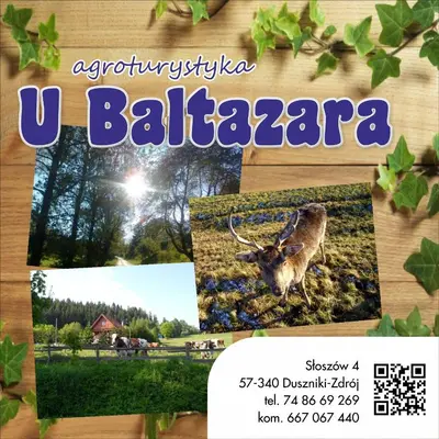 Plan piętra w obiekcie Agroturystyka U Baltazara