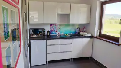 Kuchnia lub aneks kuchenny w obiekcie Blu Raj - domy w Sudetach