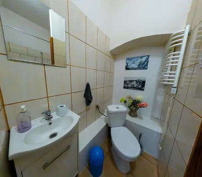Łazienka w obiekcie Loft w centrum Złotego Stoku