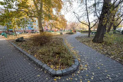 Ogród w obiekcie Studzienna