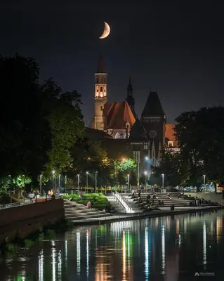 Przyroda w pobliżu tego apartamentu