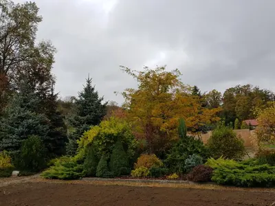 Plan piętra w obiekcie Apartament Malinowa Dolina