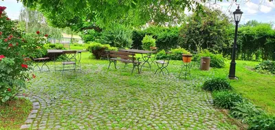 Ogród w obiekcie Villa Kliche