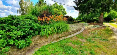 Ogród w obiekcie Villa Kliche