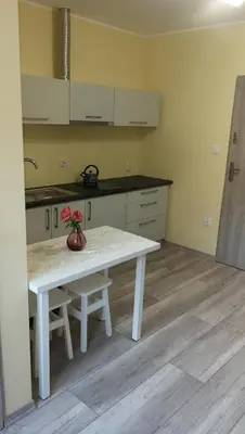 Kuchnia lub aneks kuchenny w obiekcie Nad Strumykiem 1